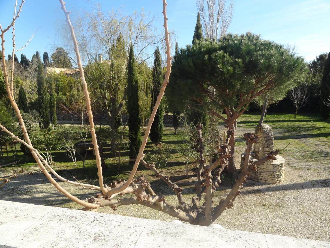 Locations Des Alpilles Daire Saint-Rémy-de-Provence Dış mekan fotoğraf